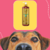 Frasco de Leave-In Amazonita Cereja e Avelã Dolce Pet 500ml sobre fundo colorido, com um cão em primeiro plano.