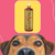 Frasco de shampoo neutralizador de odores Turmalina Cereja e Avelã de 500ml, com um cão em primeiro plano.