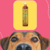 Frasco de Leave-In Amazonita Cereja e Avelã Dolce Pet 300ml com um cachorro em primeiro plano.
