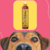 Frasco de Shampoo Limpeza Intensa Safira Cereja e Avelã da Dolce Pet, com um cão em primeiro plano.