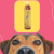 Frasco do Shampoo Limpeza Intensa Safira Bambu Mossô da Dolce Pet, com um cachorro em primeiro plano.