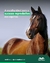 Reproductive Garanhões JCR Suplemento Vitamínico Para Equinos Vetnil 1L - Bahia Delivery 