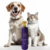 Colônia Hydra Groomers Forever Glow Pet Society 450Ml