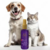 Colônia Hydra Groomers Forever Love Pet Society 130Ml