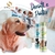 Limpa Xixi Peroxy Pet Espuma Limão Siciliano Sanithy Prime 350 Ml na internet