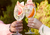Vodka Holandesa Premium Ketel One Botanical Grapefruit & Rosé 750Ml - Bahia Delivery 