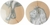 Conjunto Dois Pratos Decorativos De Parede Em Vidro Leão 22Cm na internet