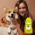 Condicionador Hidratante Estopinha Manteiga De Karité Beeps Pet Society 480 Ml