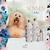 Kit Hydra Pet Spa Senses Care Pet Society Para Cães E Gatos - comprar online