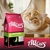 Ração Allcats Adulto Mix Premium Especial Frango Carne E Salmão 20Kg - comprar online