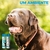 Limpa Xixi Peroxy Pet Espuma Seringal Sanithy Prime 350 Ml Pet Cachorros Gatos - loja online