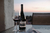Vinho Chileno Branco Seco Amelia Pinot Noir 2018 Concha Y Toro 750 Ml