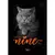 Petisco Desidratado Mini Snack Onebyone Nine Cat Tilápia E Atum Spin Pet 15Gr