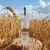 Vodka Polonesa Belvedere Pure 700Ml - loja online