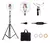 Kit Studio Ring Light Com Tripé E Bolsa De Transporte Labravia - Bahia Delivery 