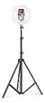 Kit Studio Ring Light Com Tripé E Bolsa De Transporte Labravia na internet