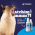 Imunocat-C Suplemento Nutricional Aminoácido Para Gato Centagro 100Gr - comprar online