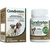 Condroton Regenerador Articular Para Cães Vetnil - loja online