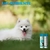 Imagem do Limpa Xixi Peroxy Pet Espuma Seringal Sanithy Prime 350 Ml Pet Cachorros Gatos
