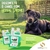 Desinfetante Herbal Prime Sanithy Prime 500Ml Bactericida Fungicida - loja online