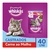 40 Sachês De Ração Úmida Whiskas Para Gatos Adultos Castrados Carne 85G na internet