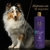Flash Thermo Active Máscara de Hidratação Termoprotetor Hydra Groomers Pet Society 900Gr