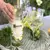 Vodka Holandesa Premium Ketel One Botanical Cucumber & Mint 750Ml - loja online