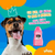 Condicionador Hidratante Manteiga De Karité Beeps Pet Society 480 Ml
