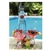 Vodka Francesa Ciroc Red Berry 750ml - comprar online