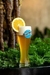 Kit 12 Cervejas Blue Moon Belgian White Witbier Garrafa 355Ml - loja online