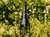 Espumante Chandon Excellence Brut 750Ml - loja online