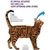 Bravecto Transdermal Plus 500Mg Gatos de 6,25 a 12,5 Kg Antipulgas E Carrapatos MSD - comprar online
