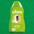 Shampoo Neutro Beeps Pet Society 500Ml