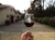 Vinho Chileno Reservado Tinto Seco Merlot Concha y Toro 750 Ml - Bahia Delivery 