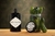 Gin Escocês Hendricks 750Ml na internet