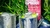 Vodka Sueca Absolut Raspberri 750 Ml - comprar online