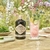 Imagem do Gin Escocês Hendricks 750Ml