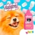 Kit Beeps Shampoo Estopinha Gatos e Condicionador Hidratante