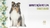 Imagem do Leite Hidratante Hydra Pet Spa Senses Bliss Pet Society 120Ml