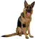 Protetor Articular De Cotovelo Em Neoprene Cães M Kruuse na internet