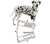 Imagem do Protetor Articular De Cotovelo Em Neoprene Cães M Kruuse