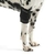Protetor Articular De Cotovelo Em Neoprene Cães M Kruuse - comprar online