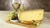 Queijo Suíço Tipo Gruyère Tirolez 12Kg