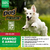 Ração Super Premium Dog Power Dogs Can Fly Cães Adultos Raças Médias E Grandes Frango E Arroz 25Kg na internet