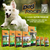 Ração Super Premium Dog Power Dogs Can Fly Cães Adultos Raças Médias E Grandes Frango E Arroz 25Kg - Bahia Delivery 