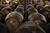 Whisky Escocês Single Malt Macallan Rare Cask 700Ml - loja online