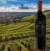 Vinho Chileno Marques Casa Concha Etiqueta Negra Tinto Seco Concha y Toro 750Ml - Bahia Delivery 