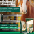 Organew Suplemento Vitamínico Animais Grande Porte Vetnil - comprar online