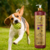 Shampoo Clareador Tonalizante Ametista Cereja e Avelã da Dolce Pet ao lado de um cão Beagle brincando com uma bola verde em um ambiente externo.