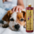 Cachorro deitado com uma pessoa ao fundo, mostrando o frasco de Shampoo Clareador Tonalizante Ametista Bambu Mossô 1L da Dolce Pet.